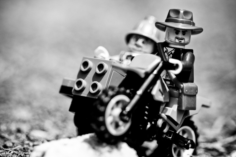 Macro (17 of 196)-2.jpg